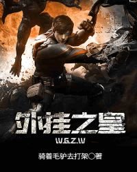 外掛之皇